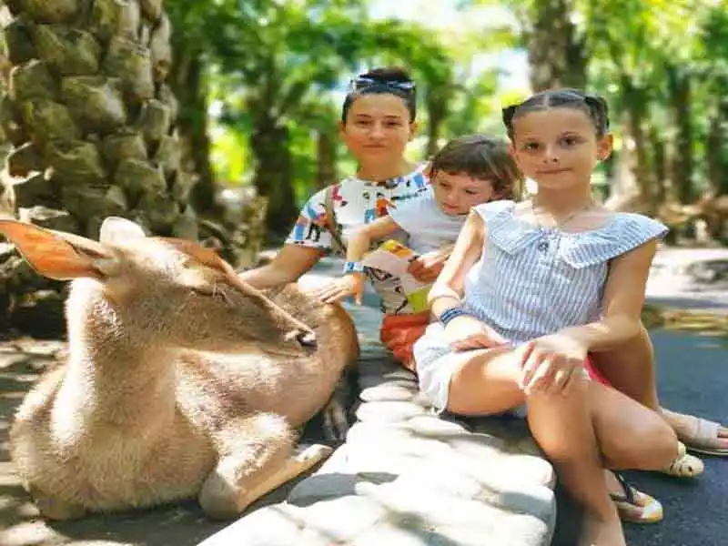 zoo admission zoo admission